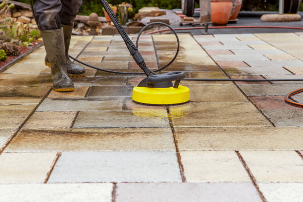 Best Roof Washing  in Chenoa, IL