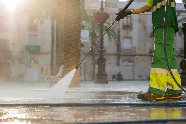 Best Building Exterior Washing  in Chenoa, IL